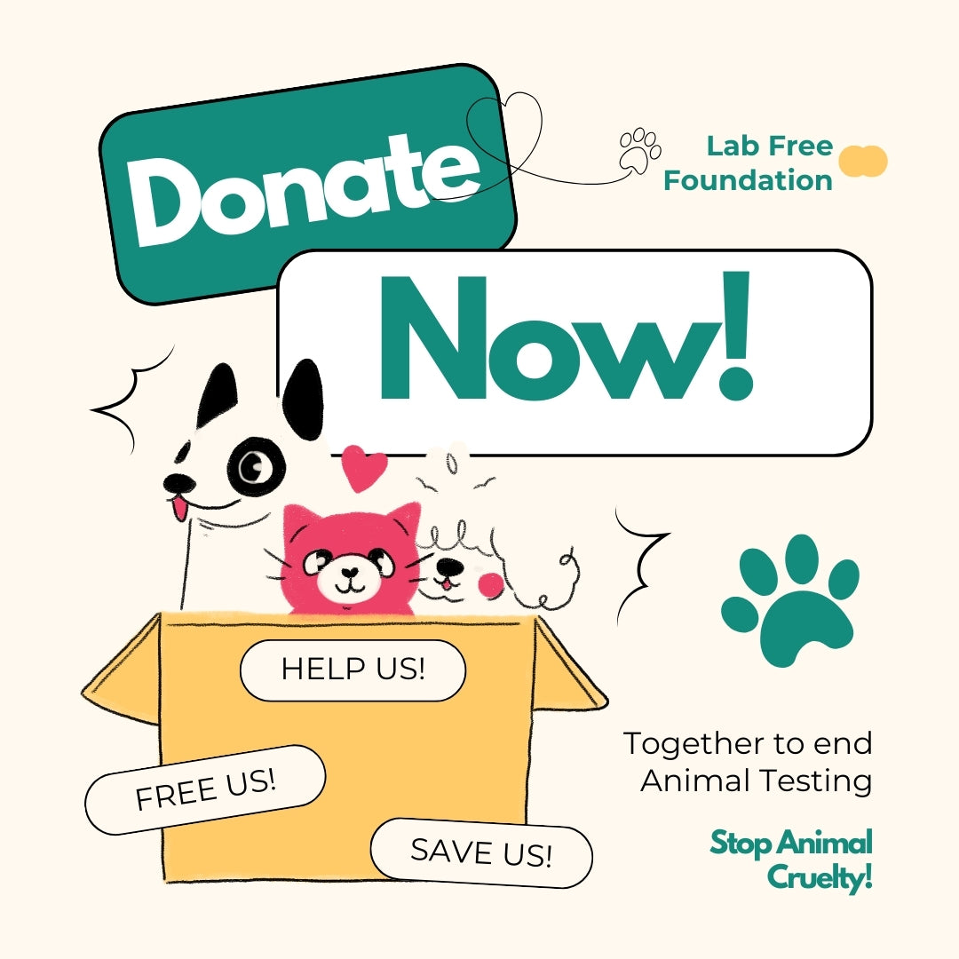 Donate to End Animal Testing